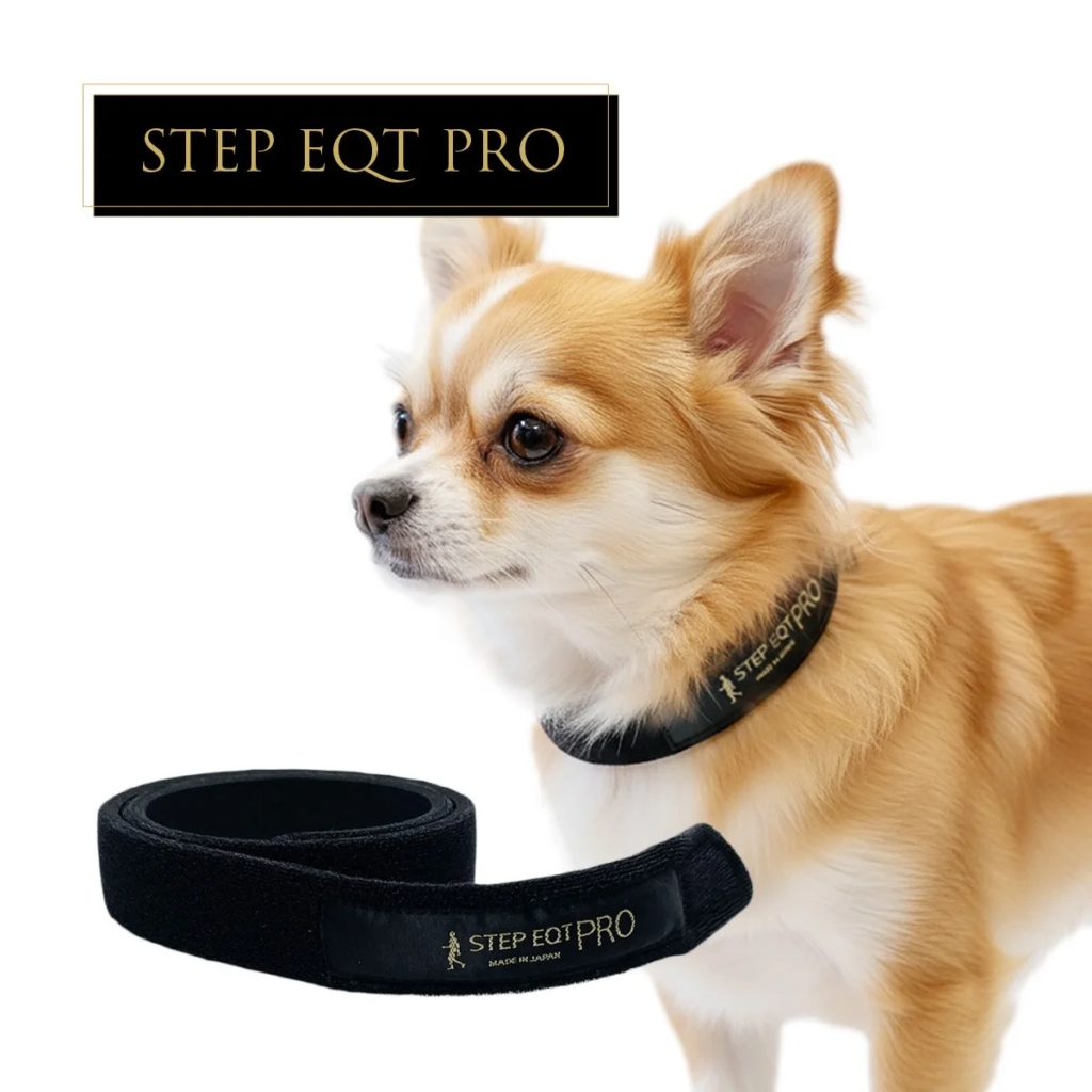 犬用歩行サポート用品｜歩けるくん商品一覧 | STEP EQT 歩けるくん
