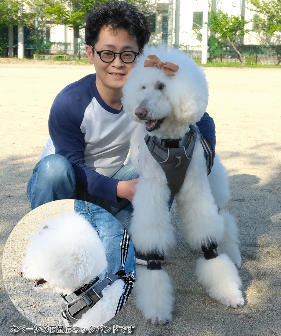 店長の森と愛犬ラニ