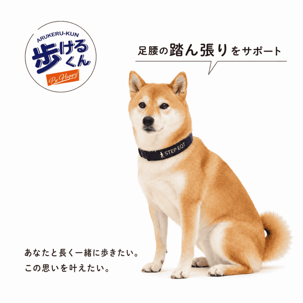 歩けるくん ネックバンド バックルタイプ SE-101