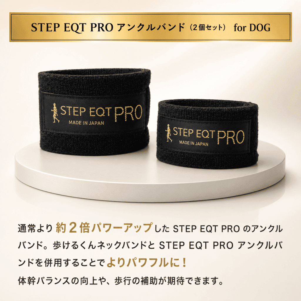 ワンちゃん用EQT PROアンクルバンド